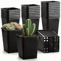 Black 6Inch Plastic Seedling Pots