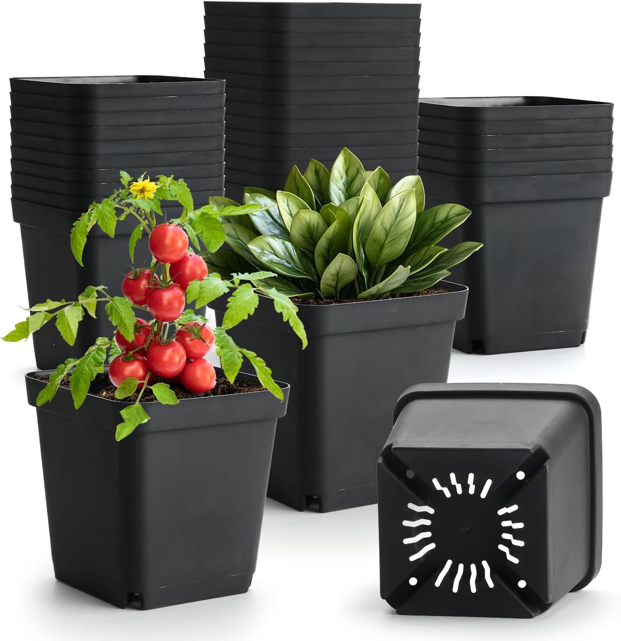 Black 6Inch Plastic Seedling Pots