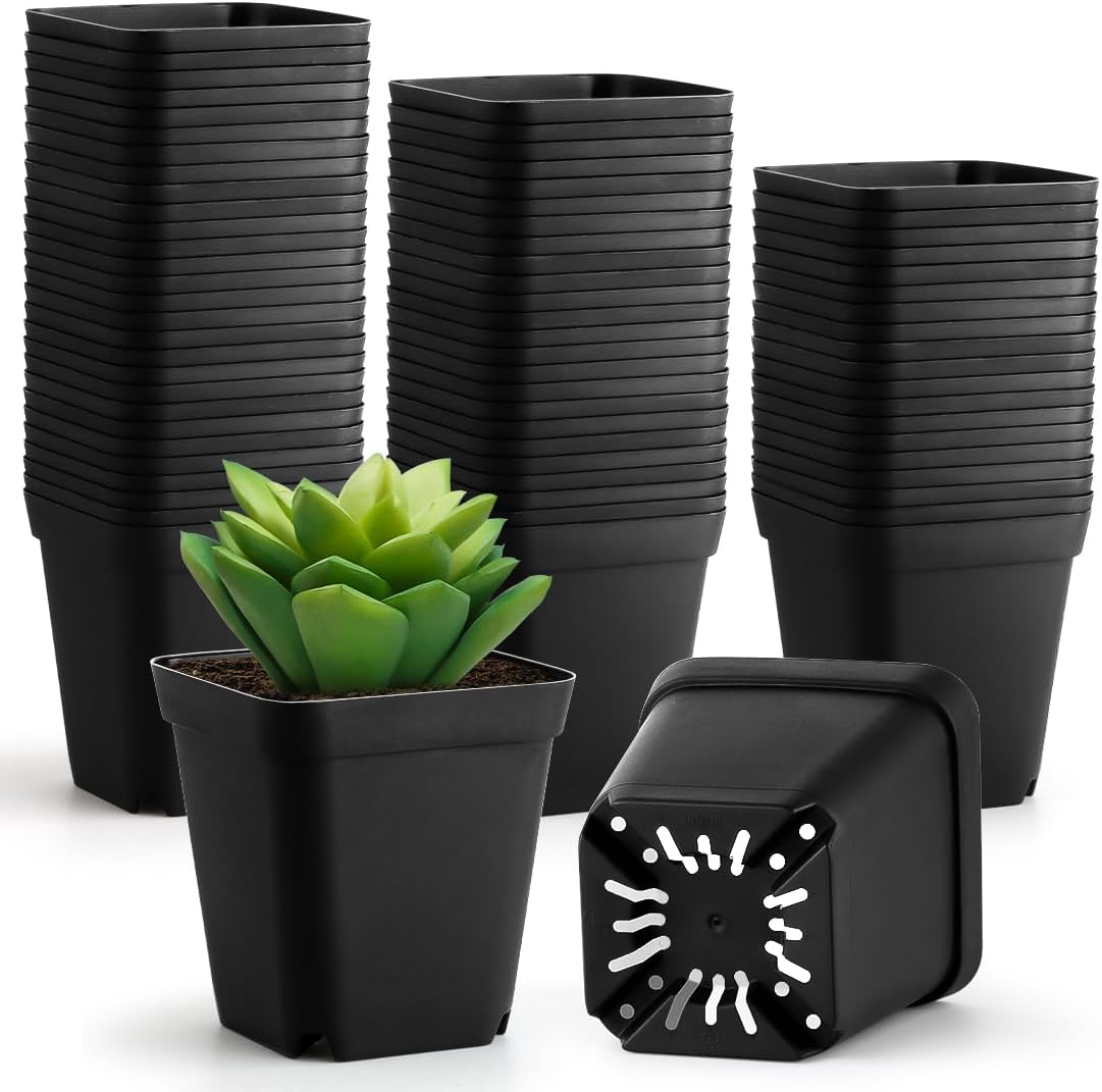 Black 6Inch Plastic Seedling Pots