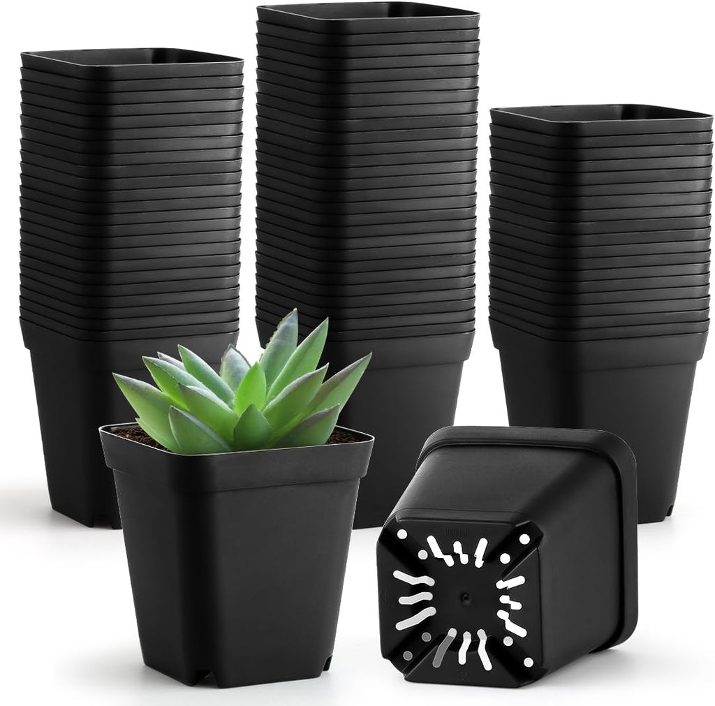 Black 6Inch Plastic Seedling Pots