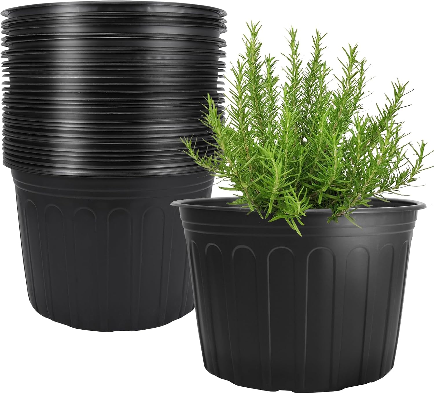 3Gallon Plastic Nursery Plant Pots