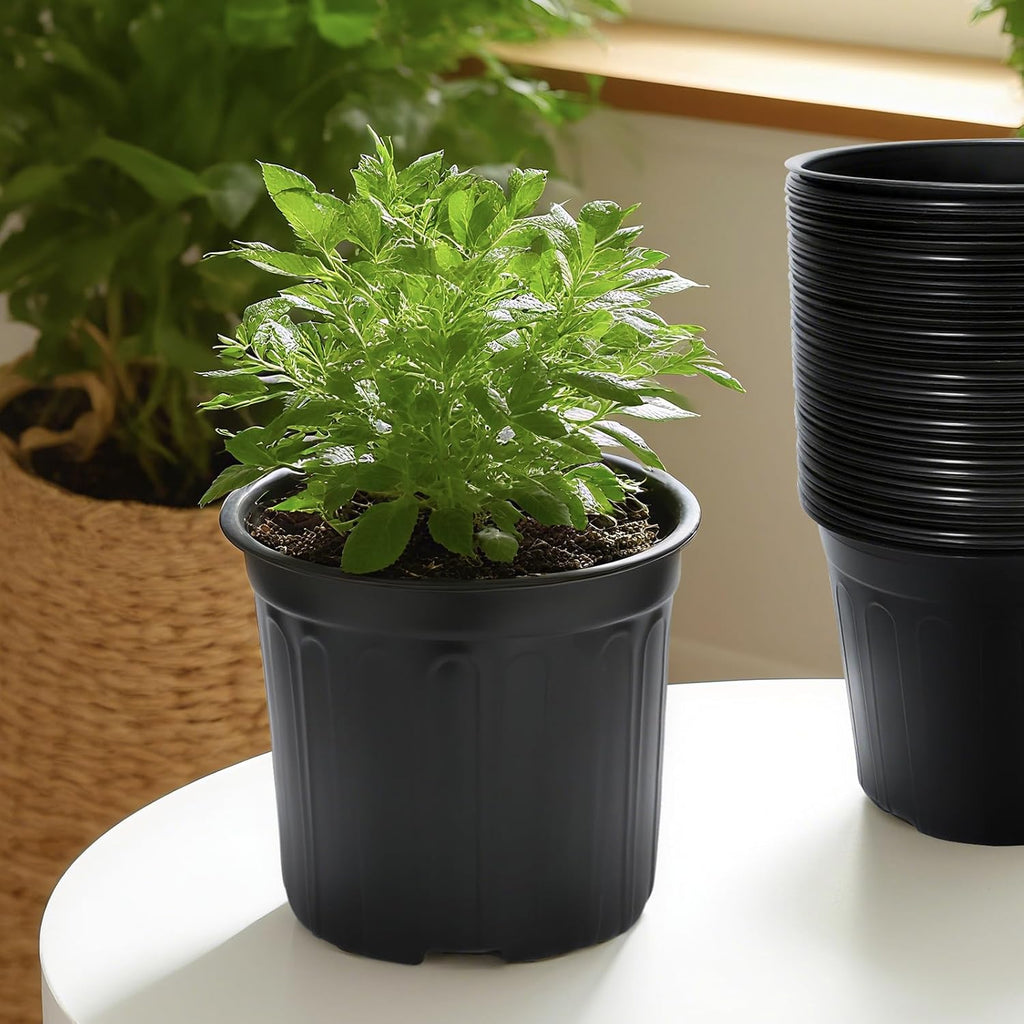 3Gallon Plastic Nursery Plant Pots