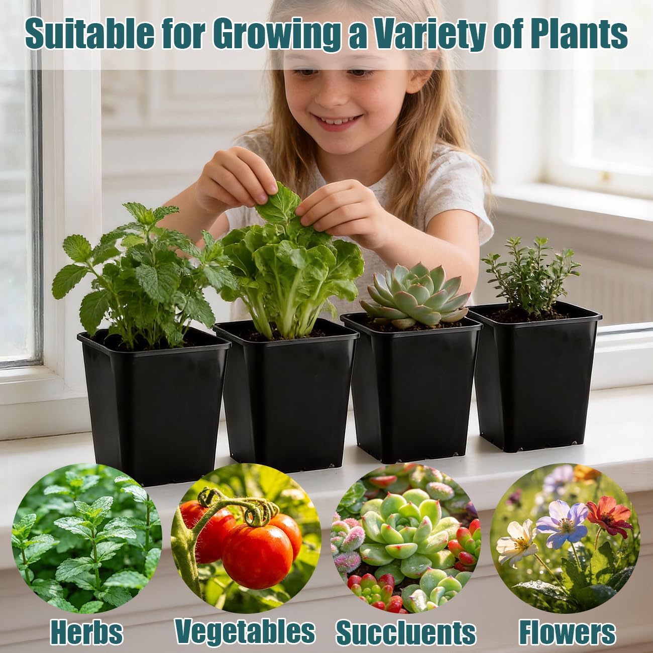 Black 6Inch Plastic Seedling Pots